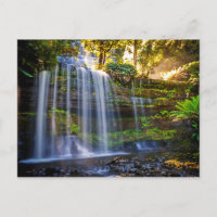 Carte postale Russell Falls Australie