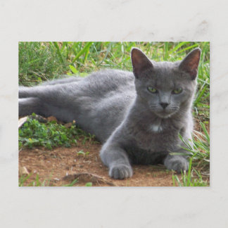 Carte Postale Russie Bleue, Natasha