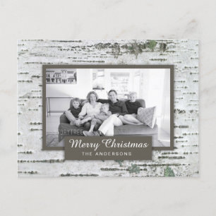Carte postale Rustic Birch Wood
