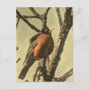Carte Postale Rustic Tree branches Michigan State Bird Robin