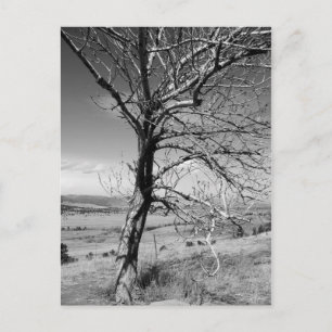 Carte Postale Rustique