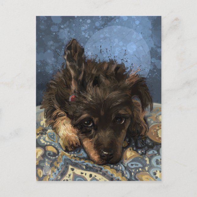 Carte Postale Rusty the Poodle (Devant)