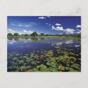 Carte Postale S.A., Brésil, Voies navigables du Pantanal