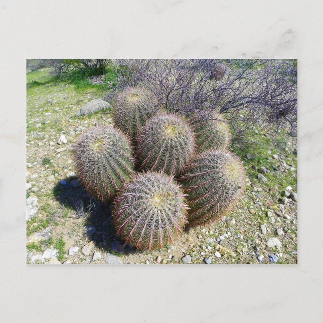 CARTE POSTALE S I X (Devant)