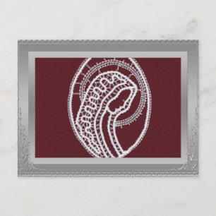 Carte Postale S. Mary Elegant bordure argent cadre photo personn
