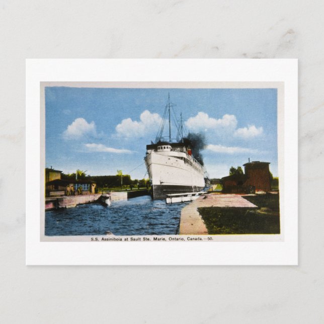 Carte Postale S.S. Assiniboia à Sault Ste. Marie, Ontario, CA (Devant)
