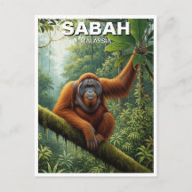 Sabah Malaysia Orangutan Travel