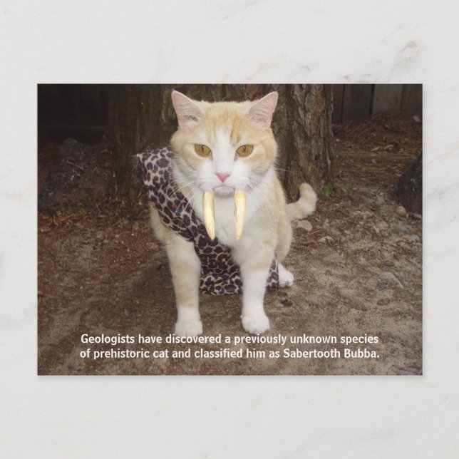 Carte Postale Sabertooth Bubba (Devant)