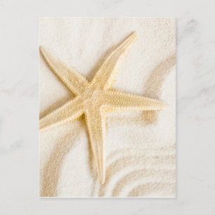 Carte Postale Sable et Starfish couleur neutre naturelle