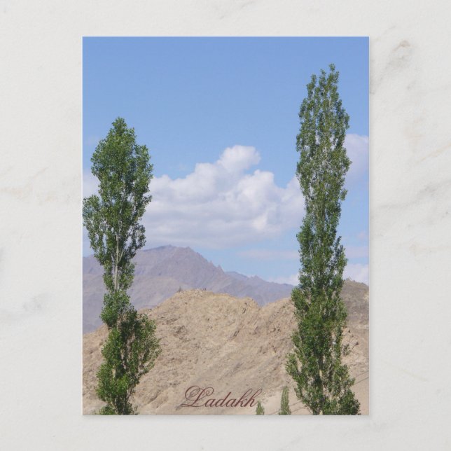 Carte Postale Saboo Ayu. Ladakh (Devant)