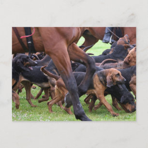 Carte Postale sac de sang
