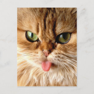 Carte Postale Sachez-moi avec une cuillère