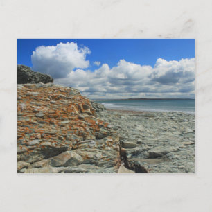 Carte Postale Sachuest Beach Newport Middletown