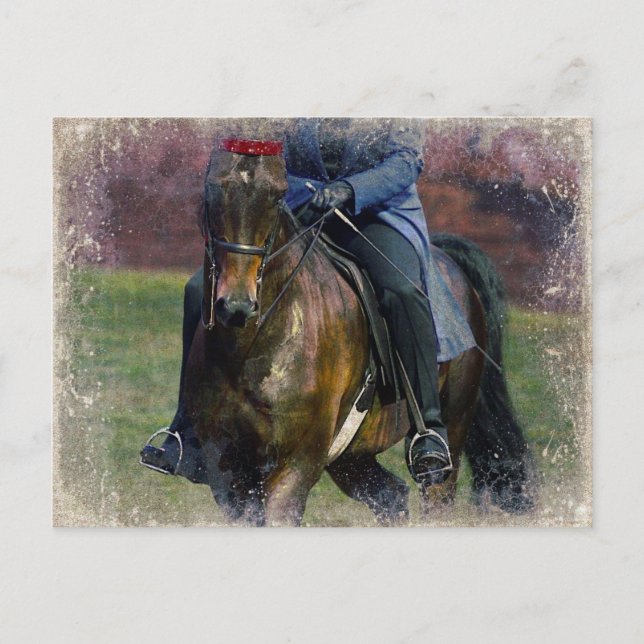 Carte Postale Saddleseat (Devant)