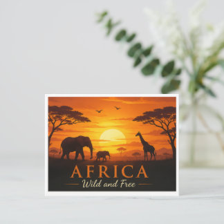 Carte postale safari