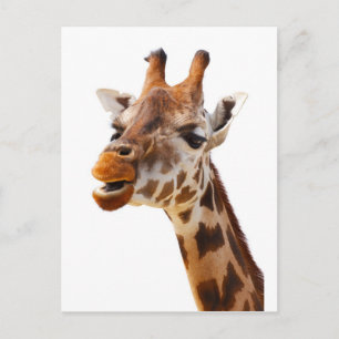 Carte Postale Safari Afrique Jungle Giraffe
