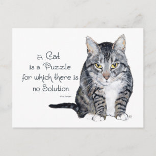 Carte Postale Sagesse de chat - un chat est une énigme