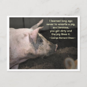 Carte Postale Sagesse de porc - lutte