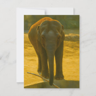 Carte Postale Sagesse des éléphants d'or - faune majestueuse