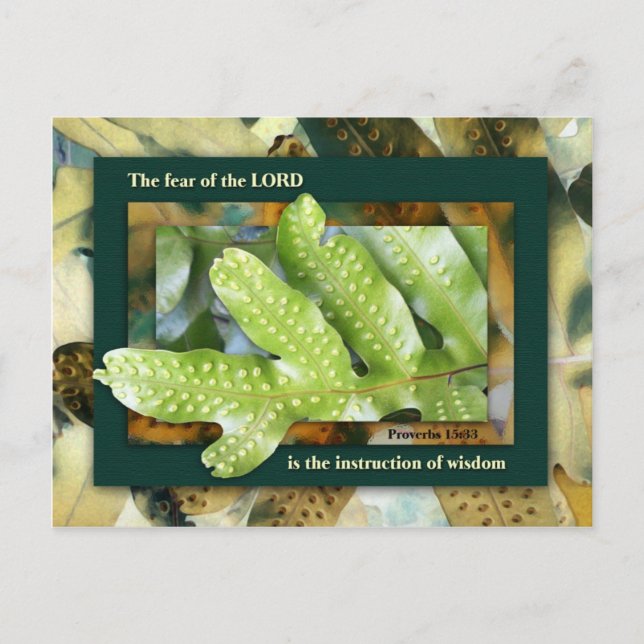 Carte Postale Sagesse du Seigneur (Devant)