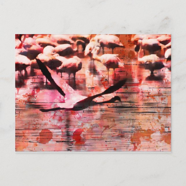 Carte Postale Sagesse Flamant rose (Devant)