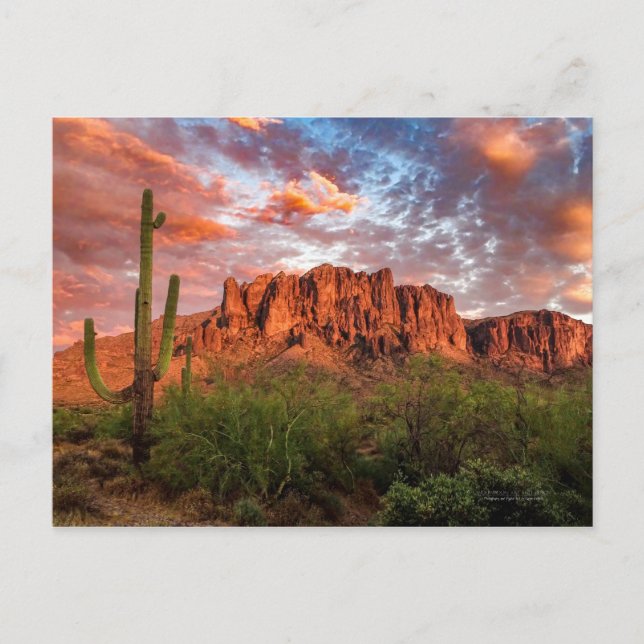 Carte Postale Saguaro Cactus Superstition Coucher de soleil de m (Devant)