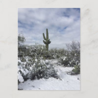 Saguaro dans la neige