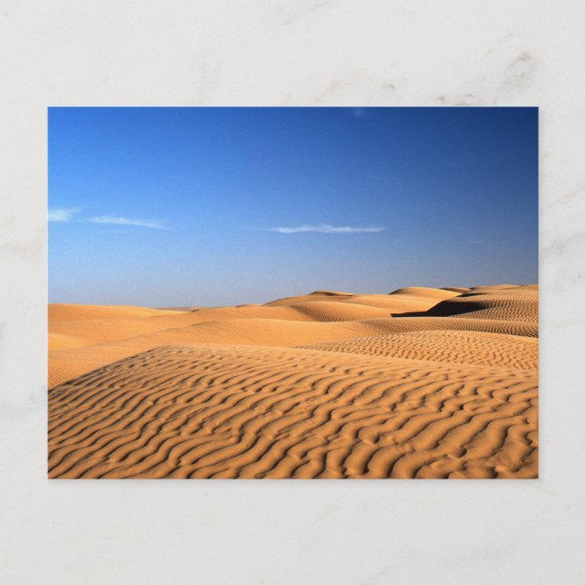 Carte postale Sahara Desert Tunisie (Devant)
