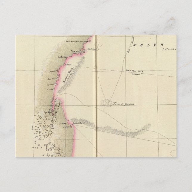 Carte Postale Sahara occidental, Afrique 12 (Devant)