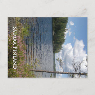 Carte Postale Saimaa Finlande