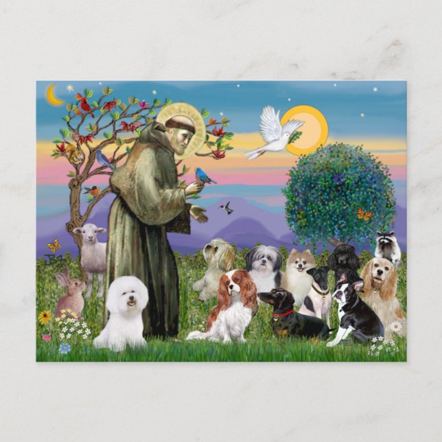 Carte Postale Saint François avec 10 Chiens (Devant)