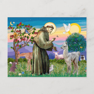Carte Postale Saint François et bébé lama
