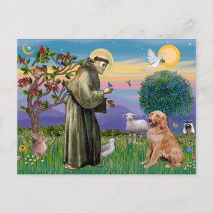Carte Postale Saint François - Retriever doré (#1)