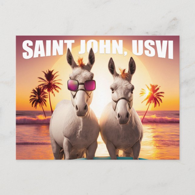 Carte Postale Saint John USVI ânes sur la plage Drôle unique (Devant)