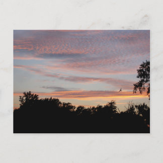 Carte Postale Saint-Louis Sunset