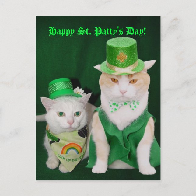 Carte Postale Saint Patrick Kitties (Devant)