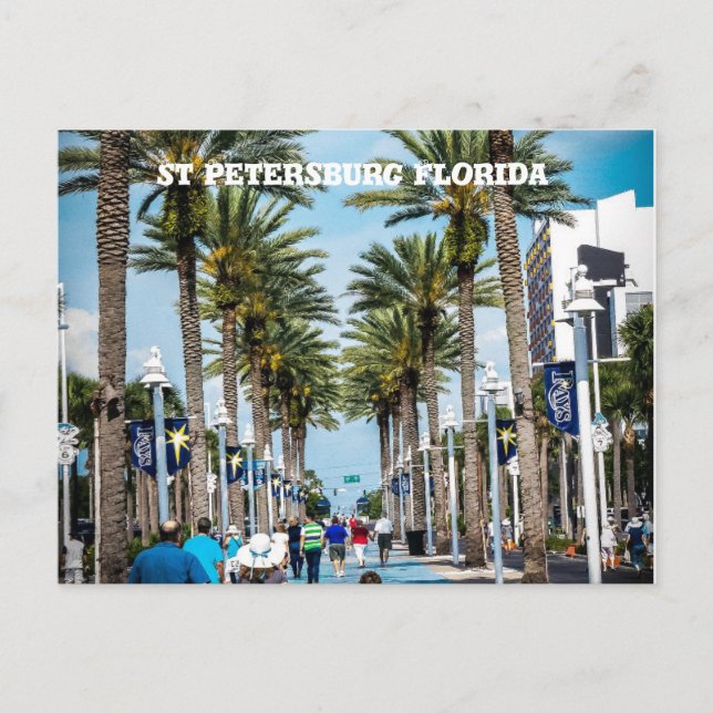 Carte Postale Saint-Pétersbourg, Floride Palmiers (Devant)