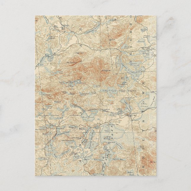 Carte Postale Saint Regis Canoe Area Détails dans les Adirondack (Devant)