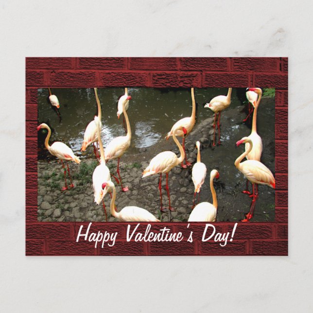 Carte postale Saint-Valentin (Devant)