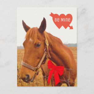 Carte Postale Saint Valentin Cheval personnalisé avec Bow