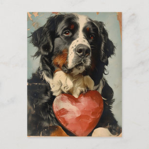 Carte Postale Saint Valentin, chien de montagne bernois