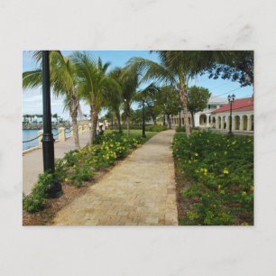 Carte Postale Sainte-Croix, Ile Vierge des États-Unis
