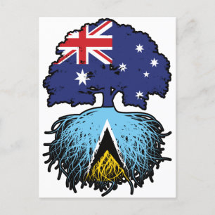 Carte Postale Sainte-Lucie Sainte-Lucie Australienne Arbre Austr