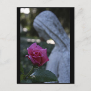 Carte Postale Sainte Vierge Marie & la Rose