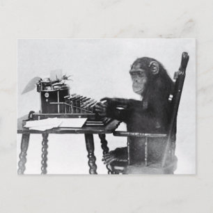 Carte Postale Saisie de singe