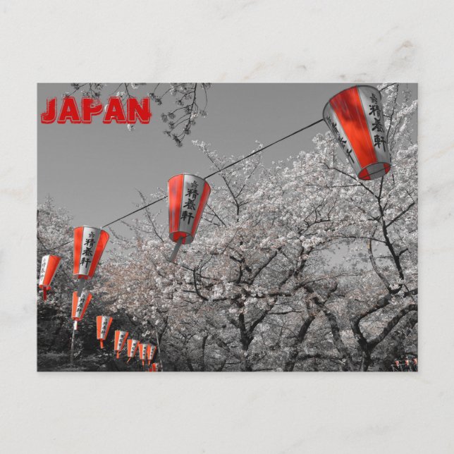 Carte postale Sakura 2014 (Devant)