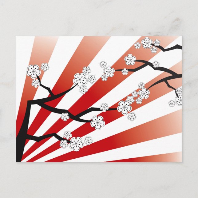 Carte Postale Sakura Sunrise Blanc Cerise Fleurs Fleurs Zen (Devant)