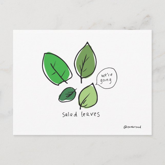 carte postale salade (Devant)
