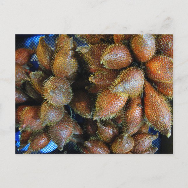 Carte Postale Salak [Fruit de serpent] (Devant)