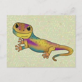 Carte Postale Salamander